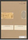 Amphora lineata Greg. (de-Toni-Nr.: Genus 36, Species 1557) Zeichnungen Sammlung Grunow Nr. 3004 (NHMW-BOT-W0370380)